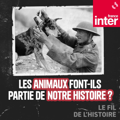 Autant En Emporte Lhistoire