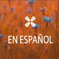 1 Year Daily Audio Bible En Espanol