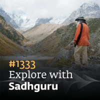 #1333 - Accessing Higher Dimensions of Life