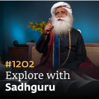 #1202 - Casual Relationships Minus Emotions | Relationships