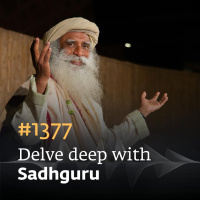 #1377 - Unlock the Minds Full Potential