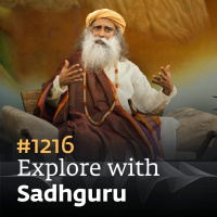 #1216 - 5 Foods to Enhance Brain Power | Food  Health