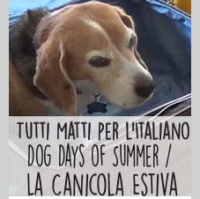 The Dog Days of Summer — La canicola estiva