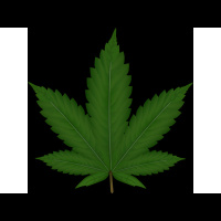 Busting Loose in Faith with Apostle and Prophetess Thibeaux