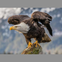 Eagles United Ministries Full Gospel Church