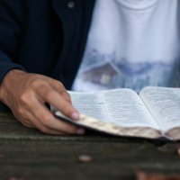 Crazy Little Thing Called LOVE - (Portuguese) Part III