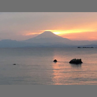 443. The Trip to Japan (Part 2)