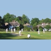 473. Explaining the Rules of Cricket (with Dad)