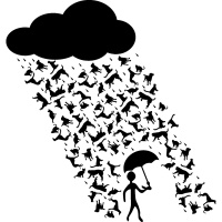 135. Raining Animals - Its raining cats and dogs