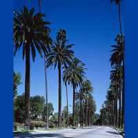 477. Holiday Diary (Part 4) The Fresh Prince of Bel Air