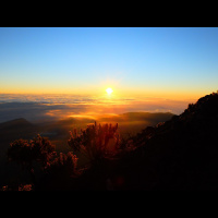 257. Be Positive (A rambling episode)