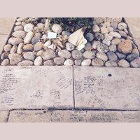 293. California Road Trip (Part 6) San Francisco / AJ Hoge Interview / UK amp US English