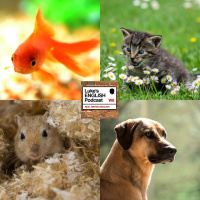 521. Talking about Pets (with James)