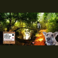 153. The Talking Dog Story