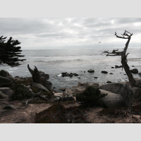 295. California Road Trip (Final Part)