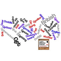 150. British Slang (D to G)