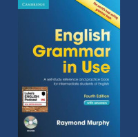 53. Discussing Grammar with My Brother