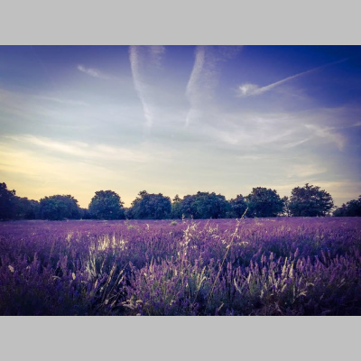 Lukes English Podcast - Learn British English With Luke Thompson