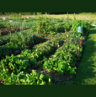 La horticultura - Vocabulario en ingles