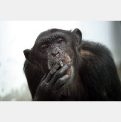 Vocabulario En Ingles Podcast