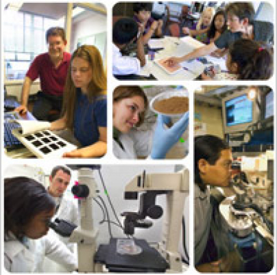 Vocabulario En Ingles Podcast