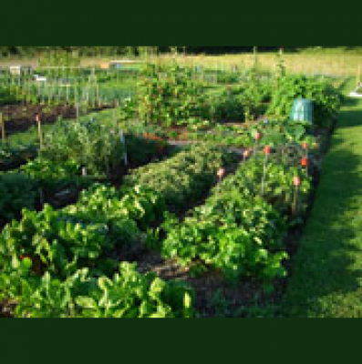 Vocabulario En Ingles Podcast