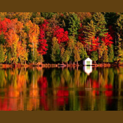 Vocabulario En Ingles Podcast