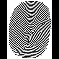 7 Critical Steps to Positive Thinking