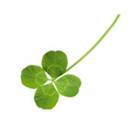 Superstitions - Zapp English Listening 3.16