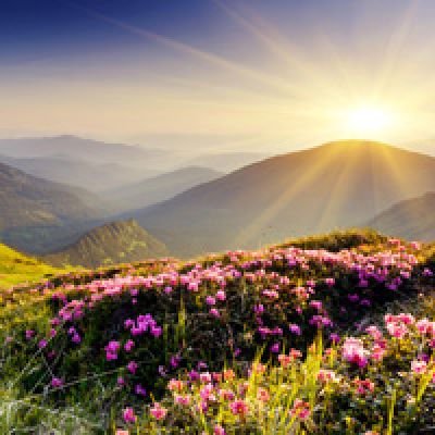 Zapp! English Listening (english Version)