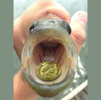 Episode 225: 29AD: Some Lessons on the Road, the Character of Christ