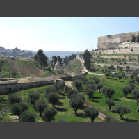 979 BC: The Legacy of Absalom