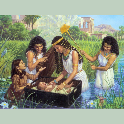 Message To Kings - A Biblical History Of Man