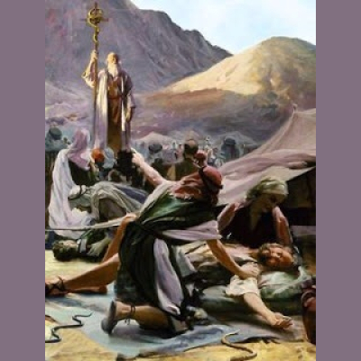 Message To Kings - A Biblical History Of Man