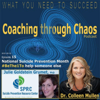 015 - SuicidePrevention - Dr Julie Goldstein Grumet