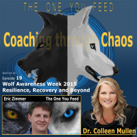 019 - TheOneYouFeed - EricZimmer