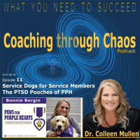 011 - Paws for Purple Hearts - Bonnie Bergin