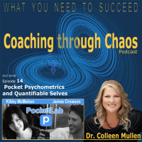 014 - PocketLab - JamesCrowson - KibbyMcMahon