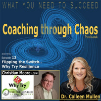 013 - Why Try Resiliency - Christian Moore