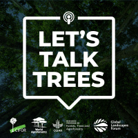 Introducing: Lets Talk Trees