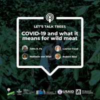 COVID-19 and what it means for wild meat