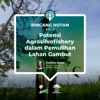 Potensi Agrosilvofishery dalam Pemulihan Lahan Gambut