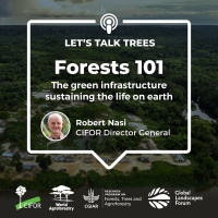 Forests 101: The green infrastructure sustaining the life on earth