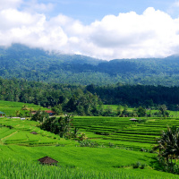 What is a landscape approach?