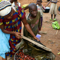 Do forest-dwelling children eat more fruit and vegetables?