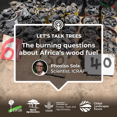 Center For International Forestry Research (cifor)