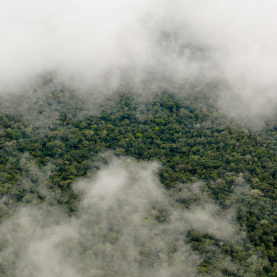 Center For International Forestry Research (cifor)
