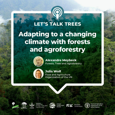 Center For International Forestry Research (cifor)