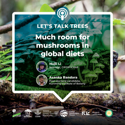 Center For International Forestry Research (cifor)