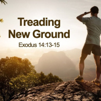 12/31/23 - Treading New Ground - Matt Glawe